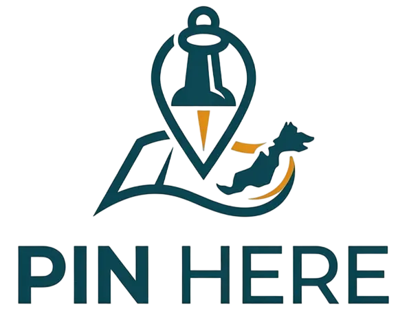 Pin-here
